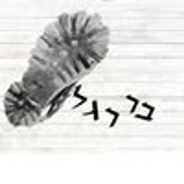 בר-רגל logo