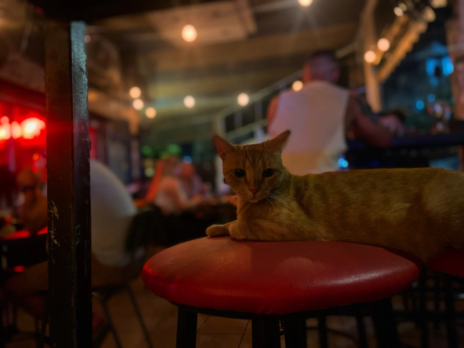 Matilda Bar