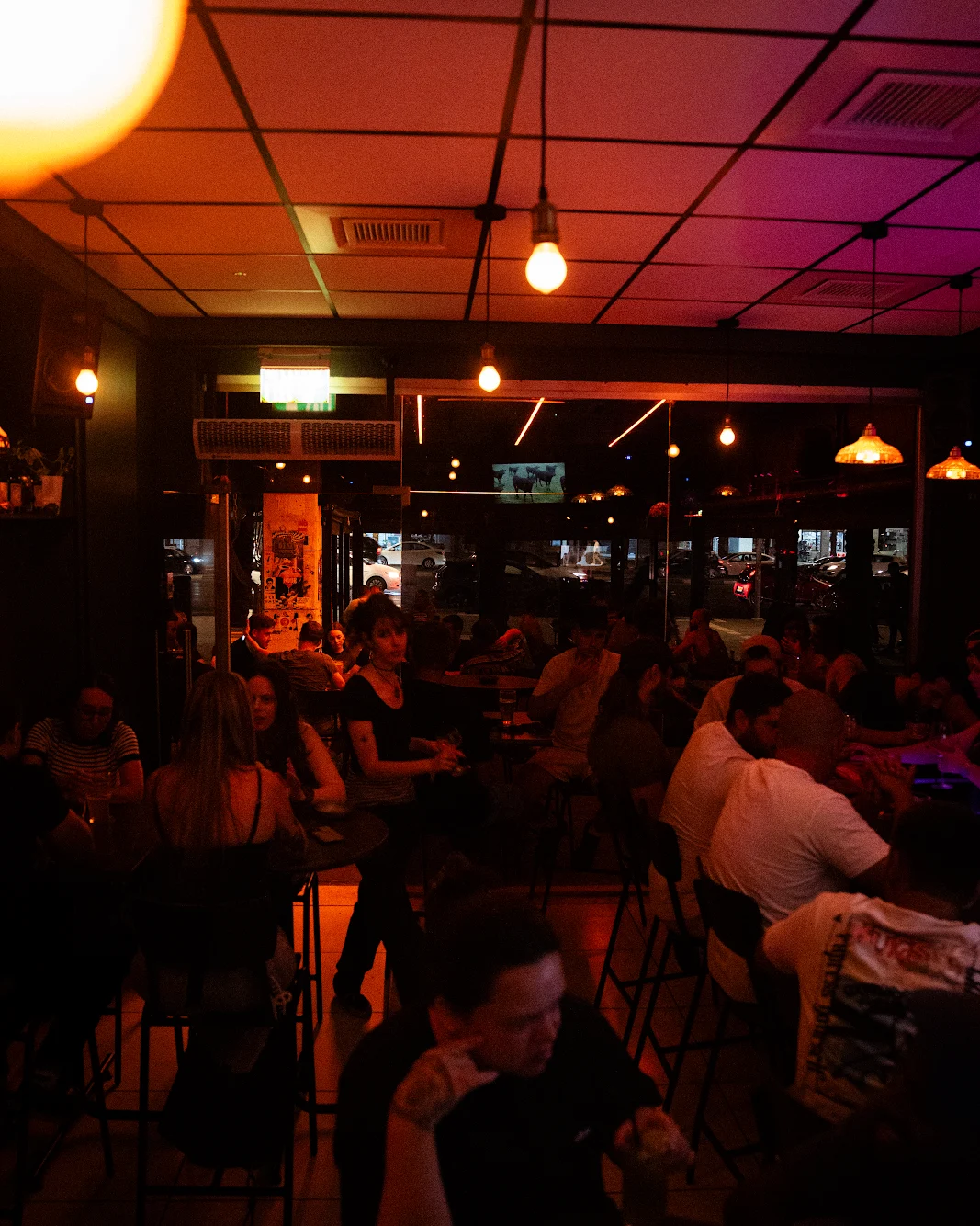 דיזי בר • Dizzy Bar