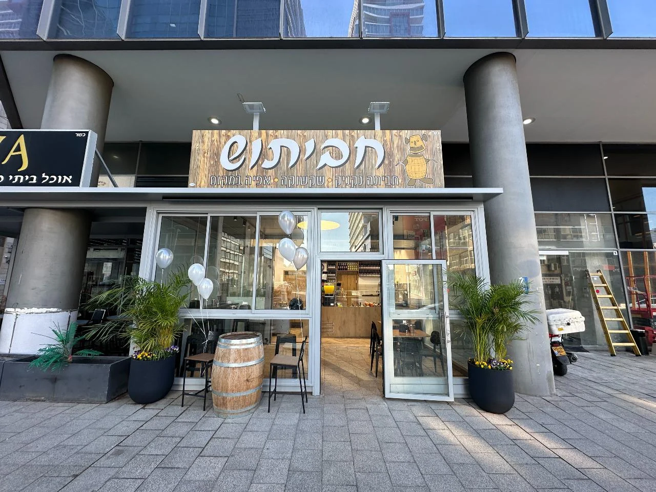 חביתוש